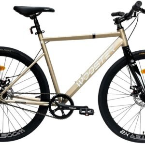 Bicicletas Profit 700C Wooster Acero 1 VEL